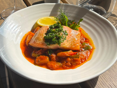 Ein Teller mit gegartem Lachs, garniert mit grünen Kräutern, serviert auf einem Bett aus Gemüse-Ratatouille in Tomatensauce, verziert mit einer Zitronenscheibe und frischen Kräutern auf einem weißen Teller.