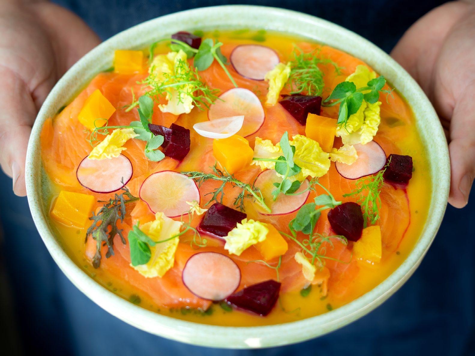 Eine Schüssel mit Lachs-Crudo in Scheiben, garniert mit Rote Bete, Radieschenscheiben und Blattgemüse in einer leuchtend gelben Soße, die mit beiden Händen gehalten wird.