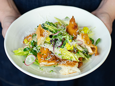 Eine Person hält eine weiße Schale mit einem frischen Salat, der Salat, Radieschenscheiben, knusprige Brotstücke, geriebenen Käse und Mikrogrün enthält.