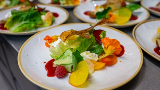 Wir feiern den Frühsommer