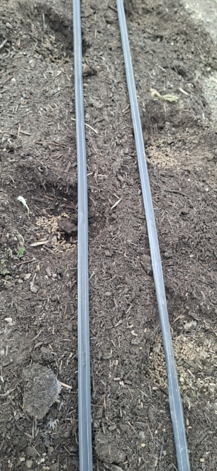 Zwei schwarze Bewässerungsleitungen verlaufen parallel über den Boden oder den Mulch in einem Gartenbeet und sind bereit für die Bewässerung der Pflanzen.